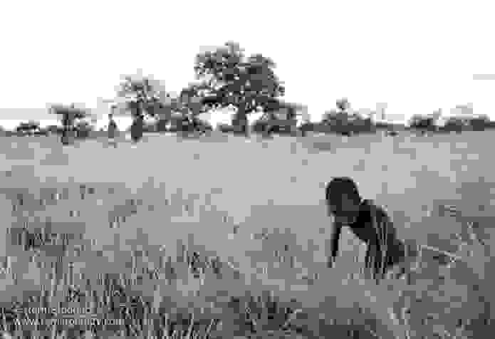 Sudan-famine_05.jpg