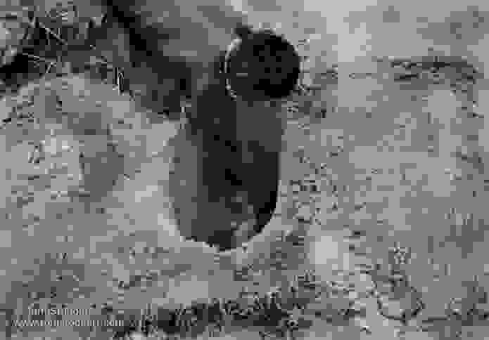Sudan-famine_17.jpg
