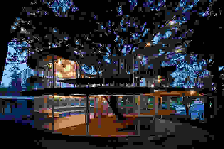 Tetzuka-Architects-Tree-Wrapped-Classroom-Japan-7.jpg