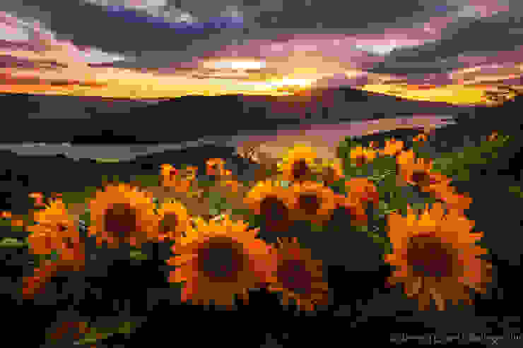 Top-10-Spring-Destinations-Columbia-Photo-by-Jeremy-Cram-740x493.jpg