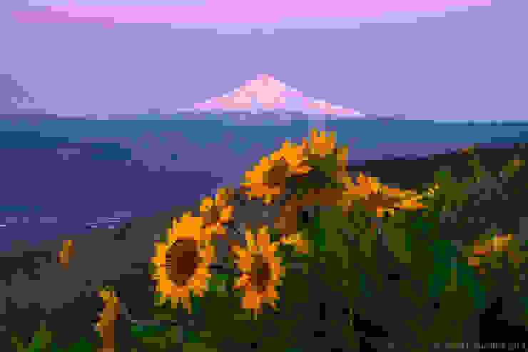 Top-10-Spring-Destinations-Columbia-Photo-by-Scott-Smorra-740x493.jpg