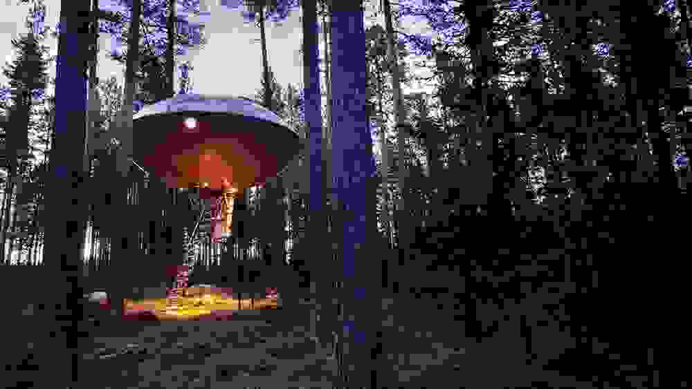 Treehouse-Hotel-Amazing.jpg