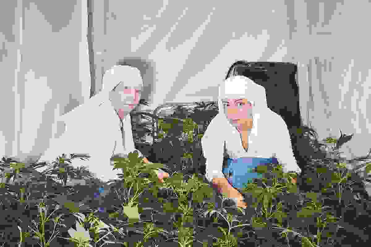Valley3.jpg