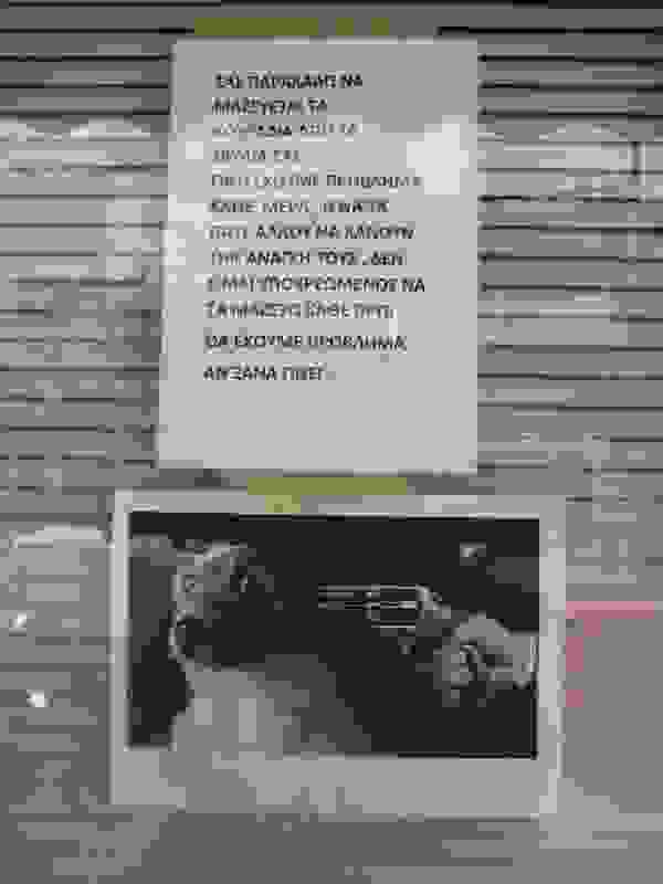 VitrinaIrakleioKritis