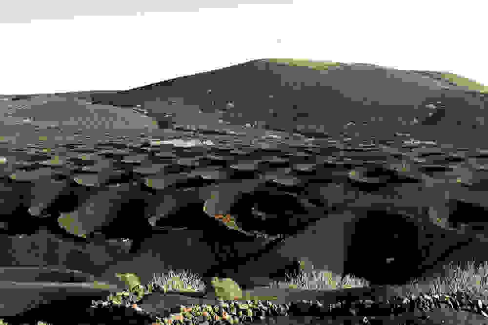 Wine-growing-in-La-Geria-Lanzarote-.jpg