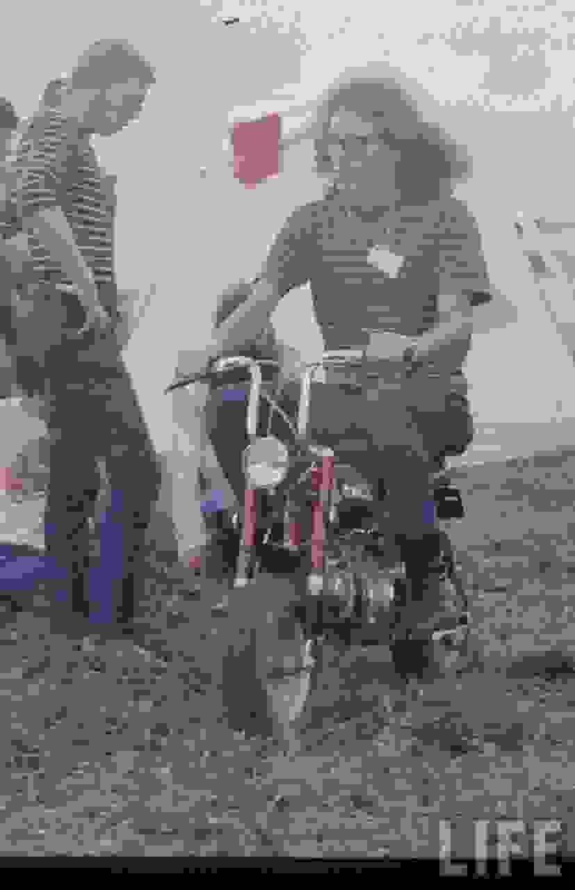 Woodstock13.jpg