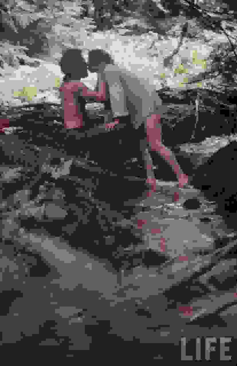 Woodstock6.jpg