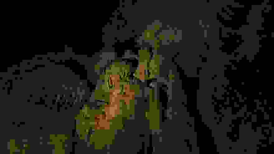 WorldsBiggestCave16.jpg