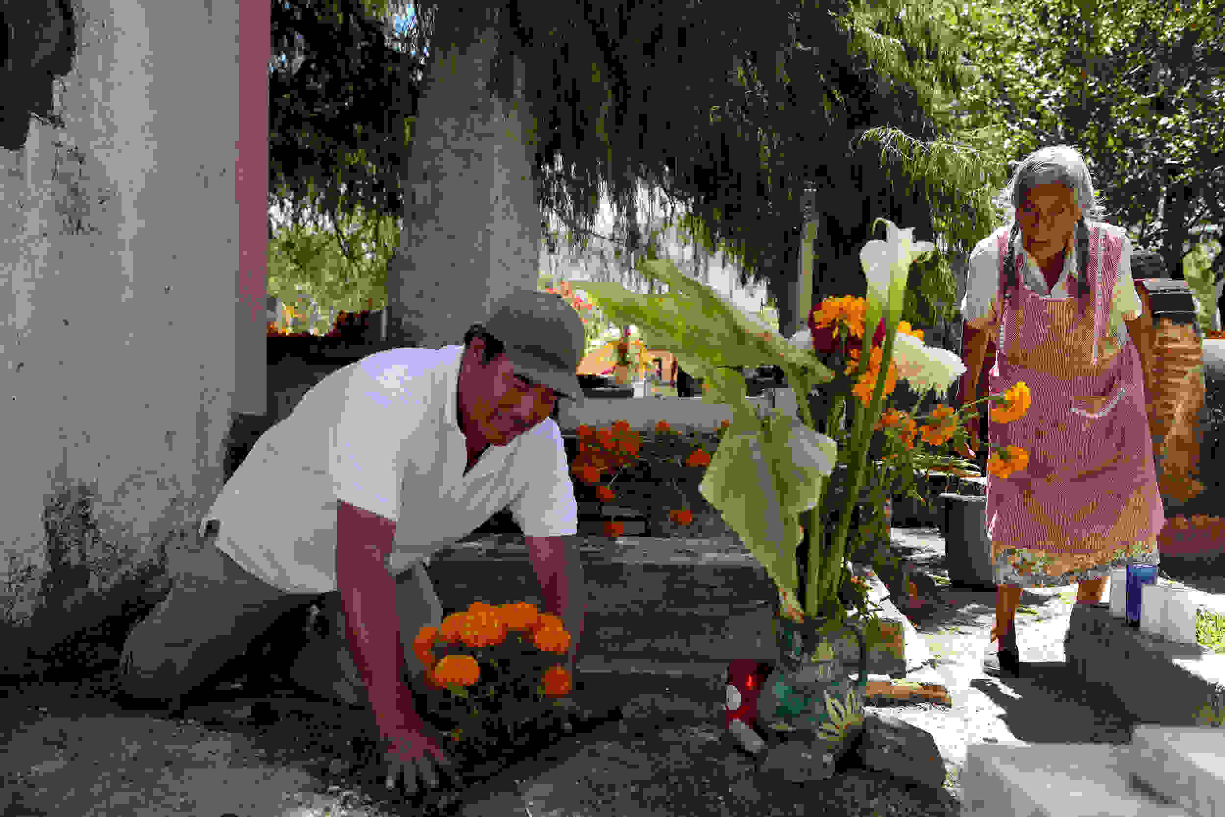 Xoxocotlan-Oaxaca.jpg
