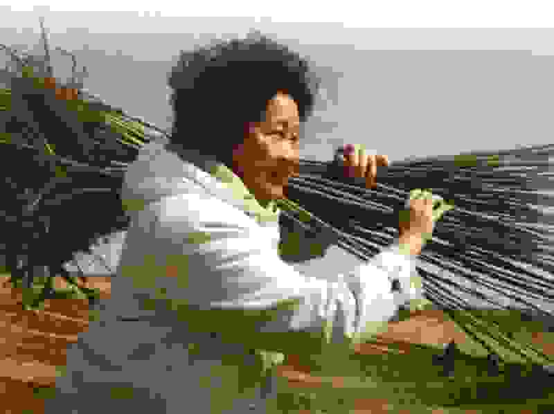 Yi-Jiefeng.jpg