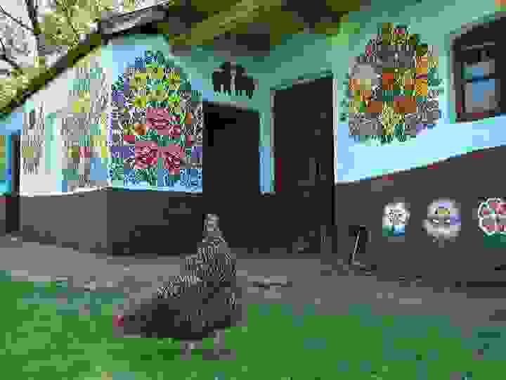 Zalipie_Wies_zamalowana_5840938.jpg
