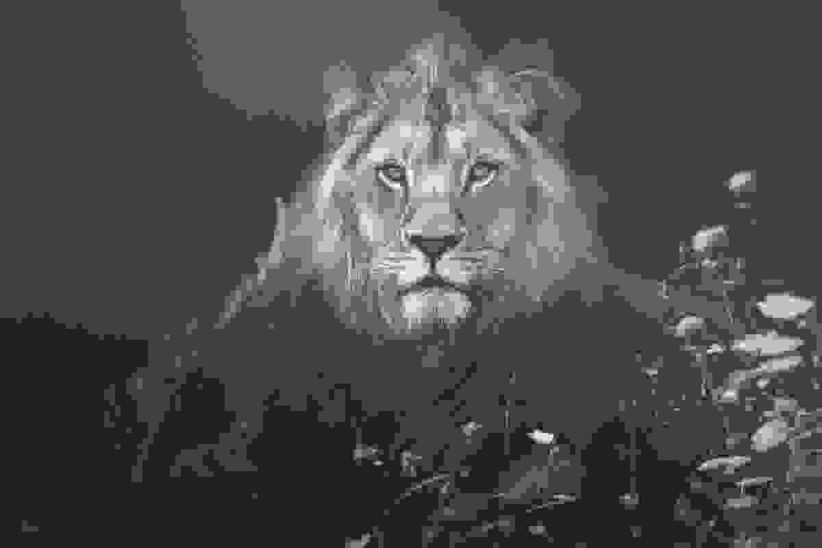 africa-souls-001.jpg