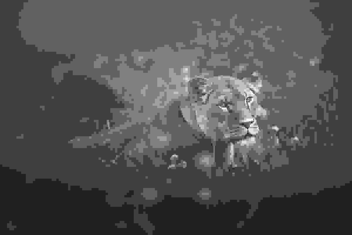 africa-souls-002.jpg