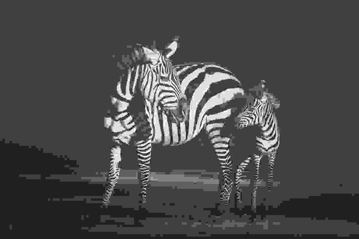 africa-souls-016.jpg