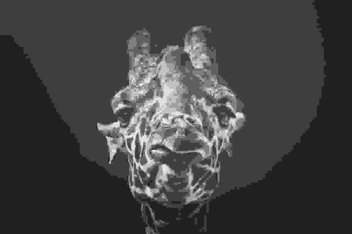 africa_souls-024.jpg