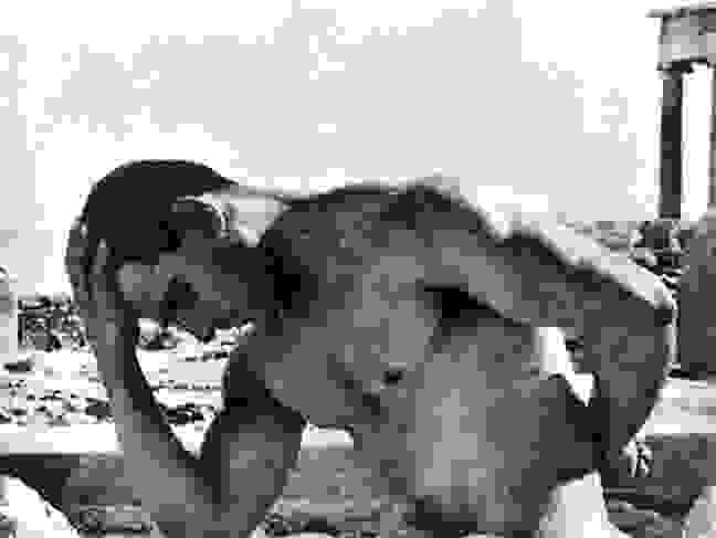 akropomode14.jpg
