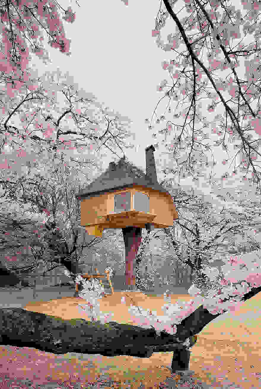 amazing-treehouses-17.jpg
