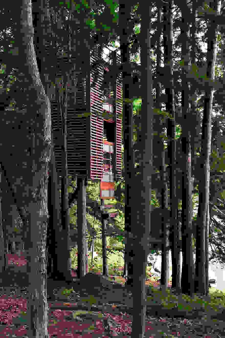 amazing-treehouses-2.jpg