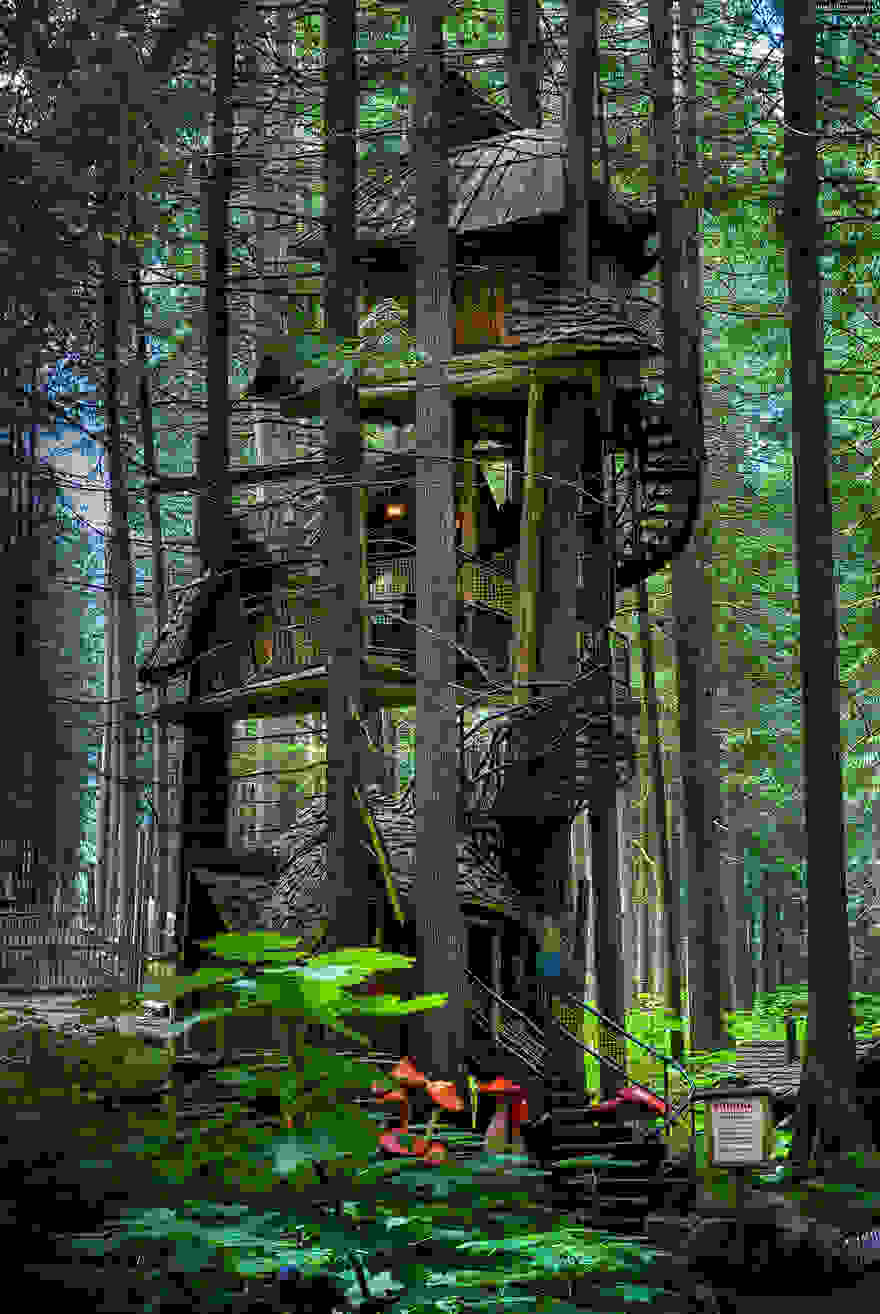 amazing-treehouses-4.jpg