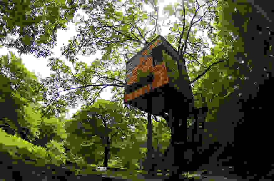 amazing-treehouses-6.jpg