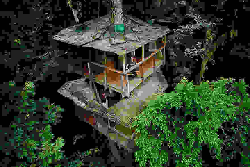 amazing-treehouses-7.jpg