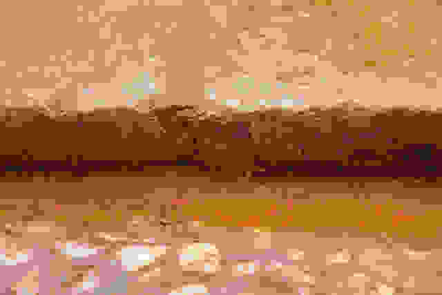 amphi2.jpg