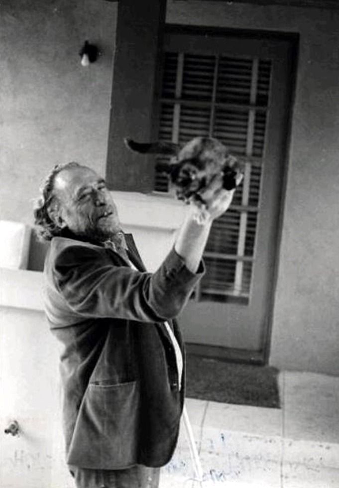 Bukowski and cat