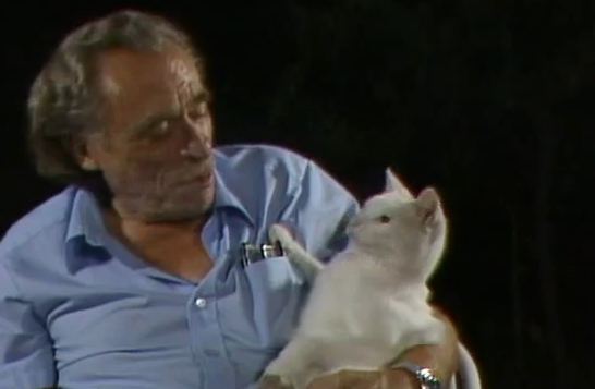 CharlesBukowski cat 3