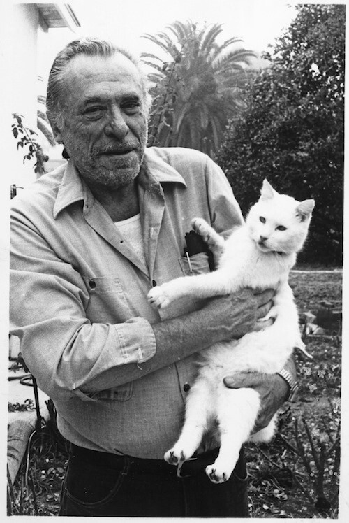 CharlesBukowski cat