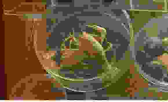 crustaceon-580x354