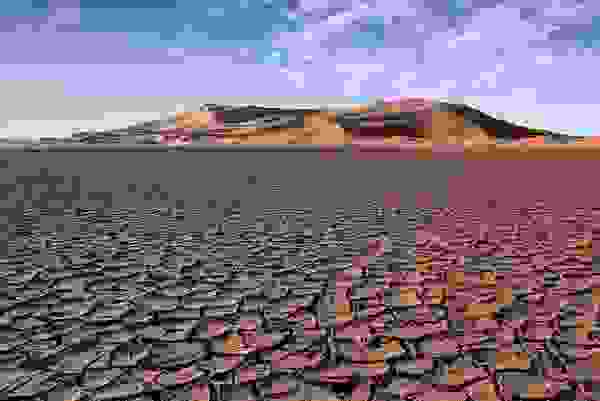 sahara 