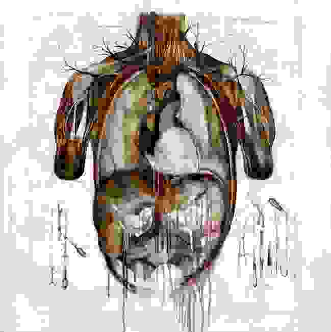 anatomia-1.jpg