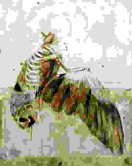 anatomia-2.jpg