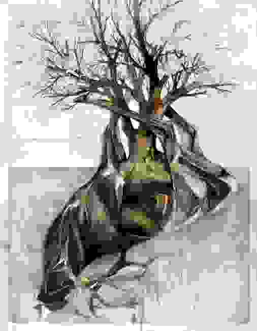 anatomia-4.jpg