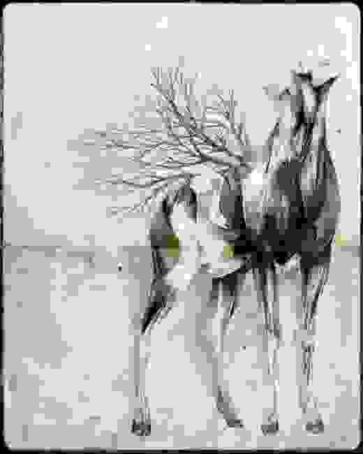 anatomia-7.jpg