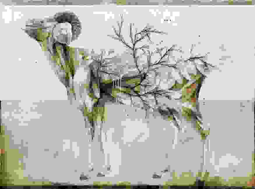 anatomia-8.jpg