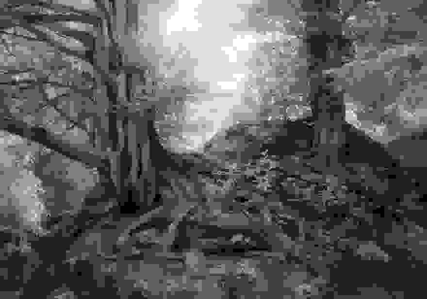 ancient-trees-beth-moon-7.jpg