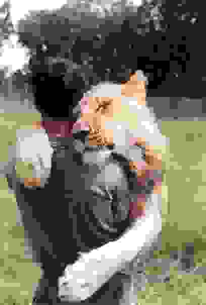 andres-agalia_2.jpg