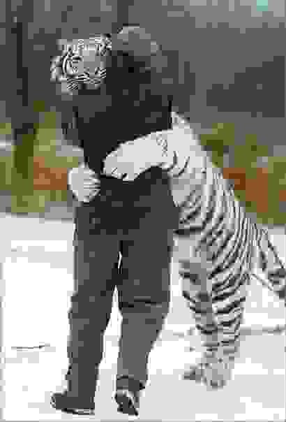 andres-agalia_3.jpg