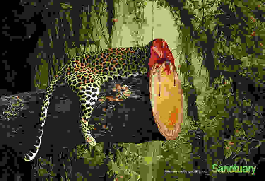 animal-rights-social-ads-call-of-the-wild-sanctuary-asia-2.jpg