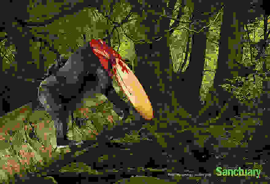 animal-rights-social-ads-call-of-the-wild-sanctuary-asia-4.jpg