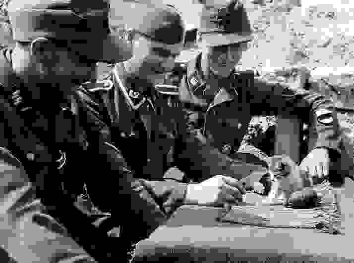 animal-soldier1.jpg