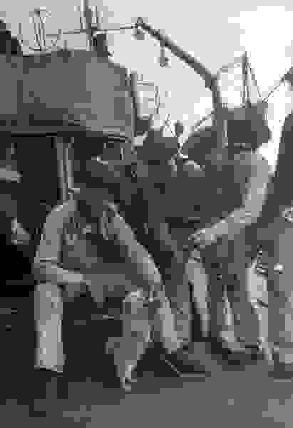 animal-soldier12.jpg
