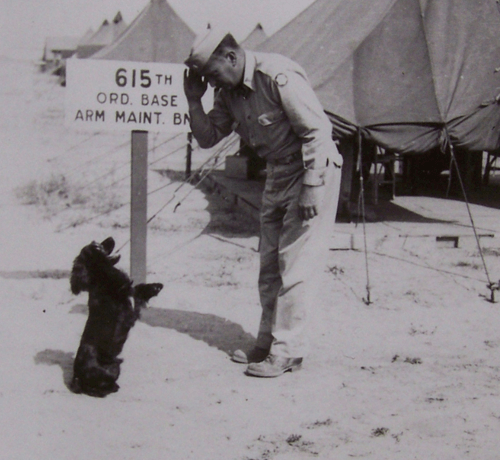 animal-soldier22.png