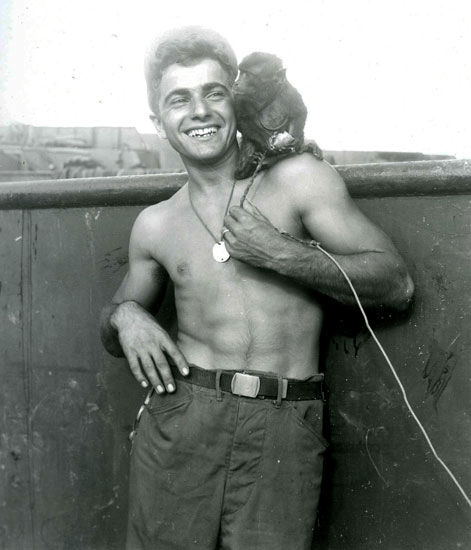 animal-soldier23.png