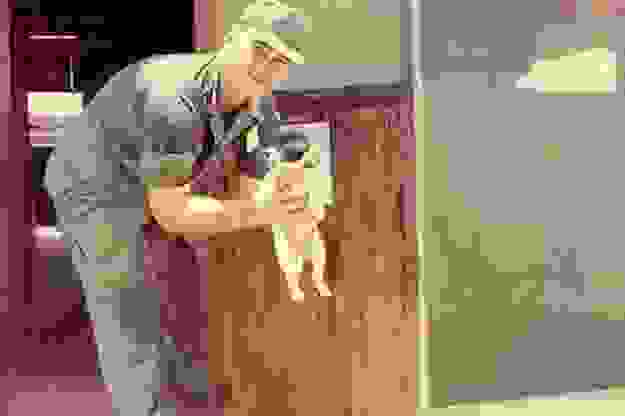 animal-soldier3.jpg