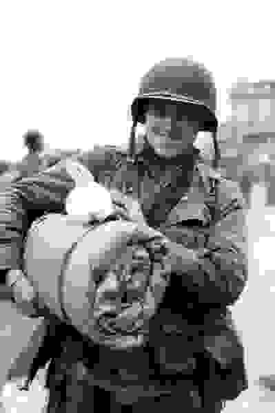 animal-soldier4.jpg