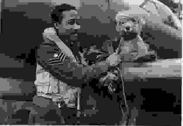 animal-soldier5.jpg