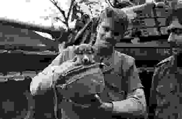 animal-soldier7.jpg