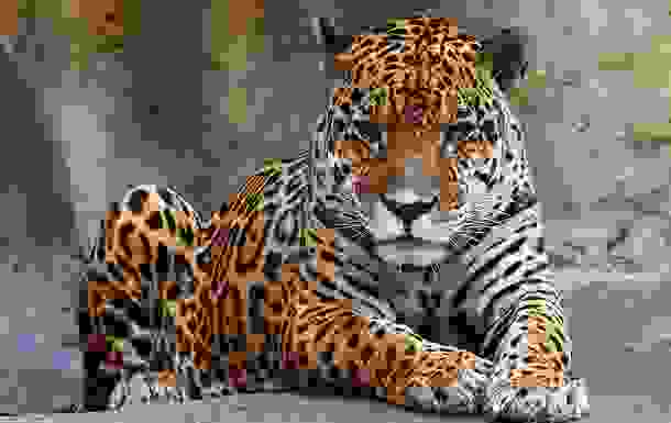 animals_deaths_2.jpg
